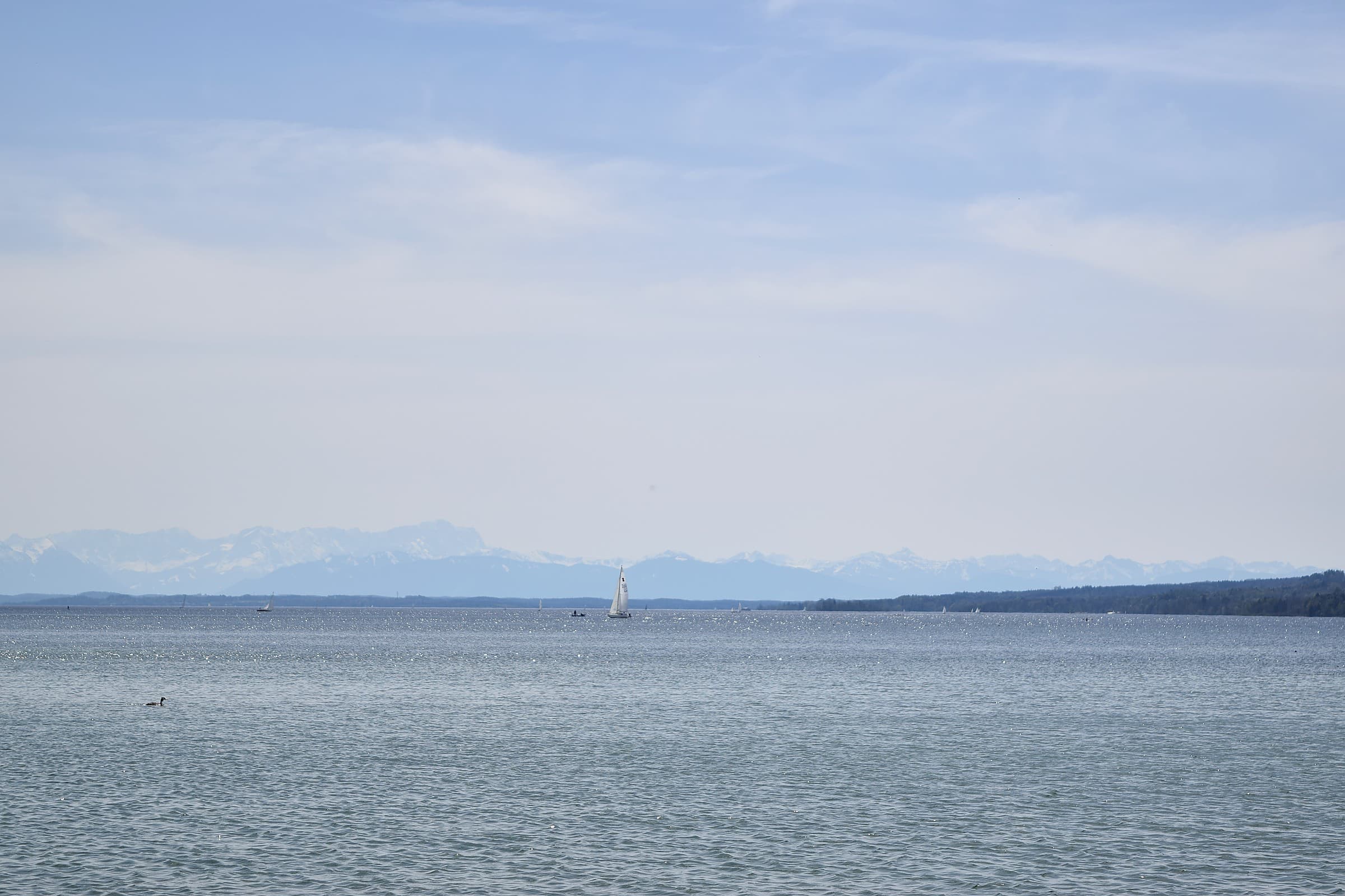 Mahdi Sellami - Photo 8