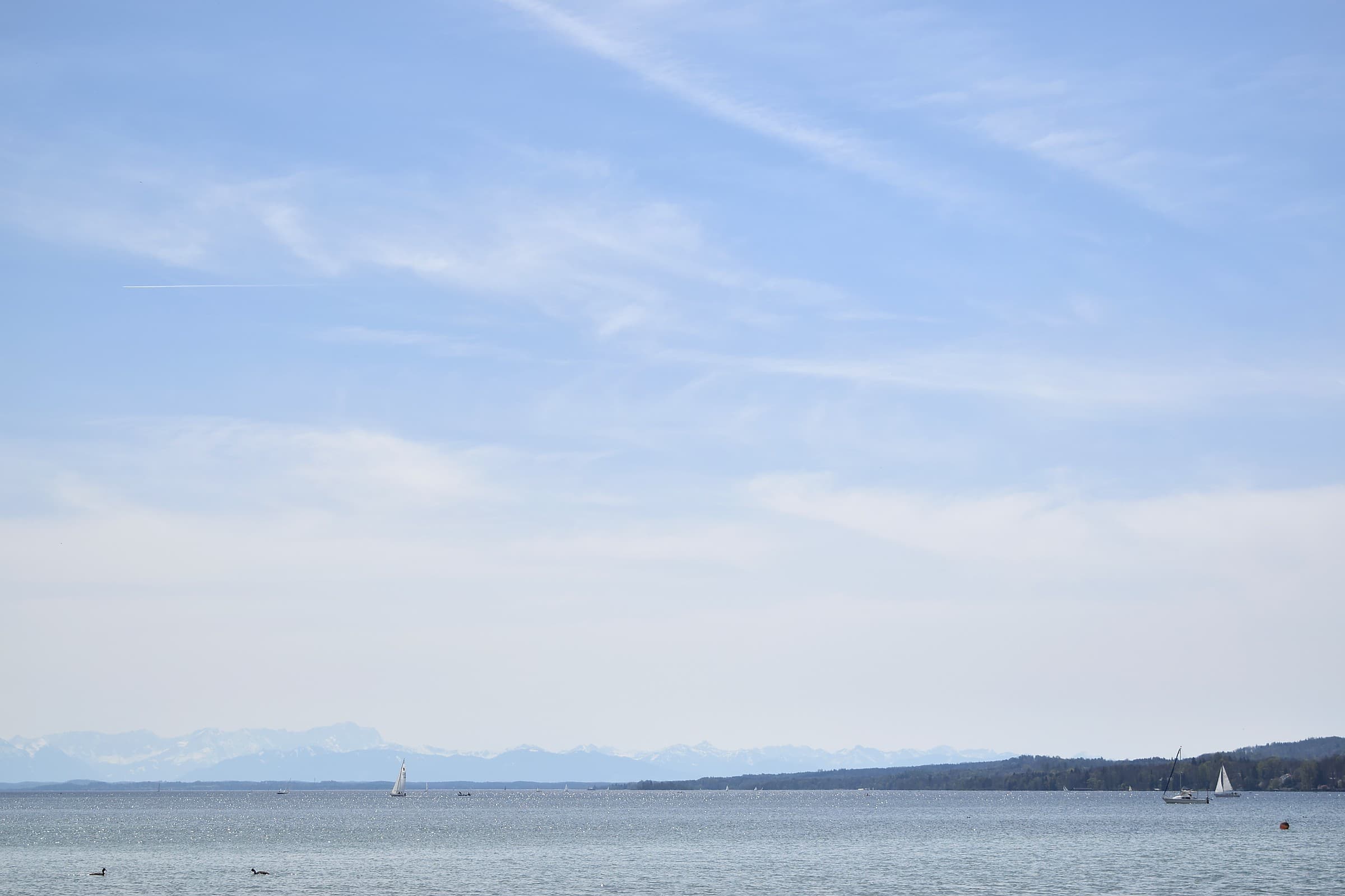 Mahdi Sellami - Photo 10