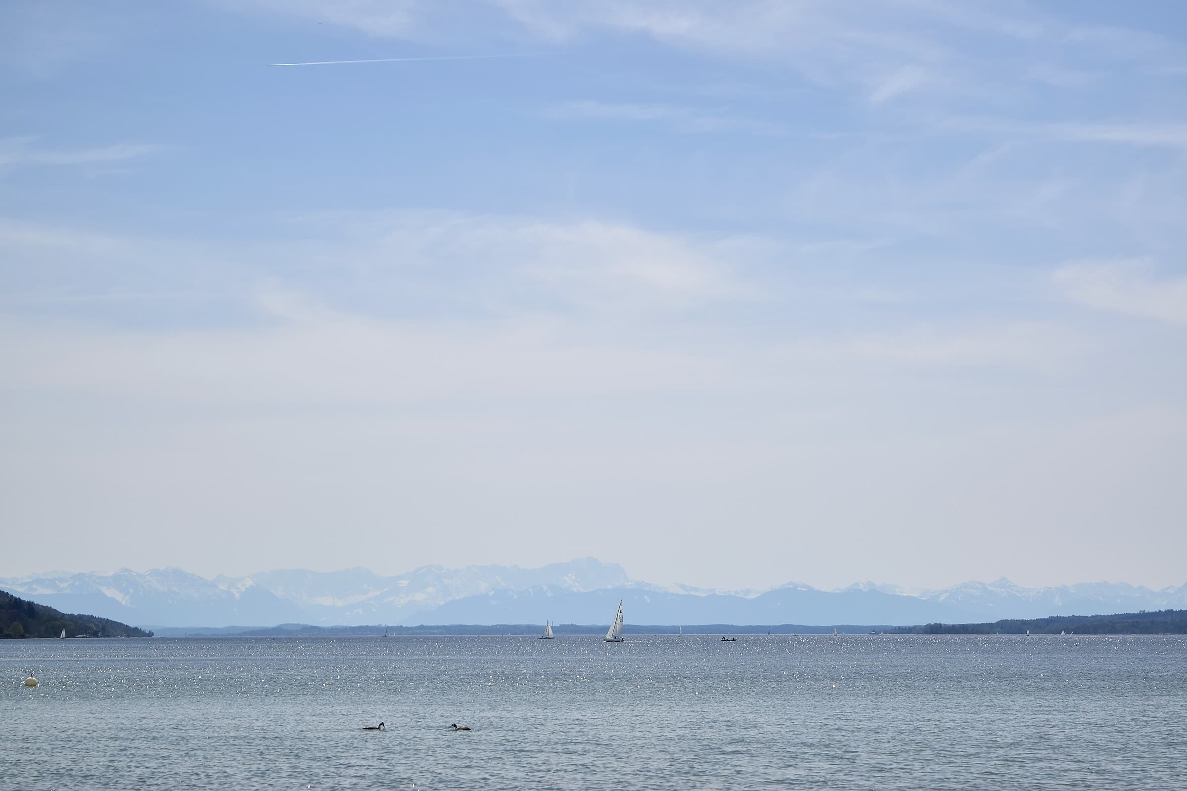 Mahdi Sellami - Photo 11