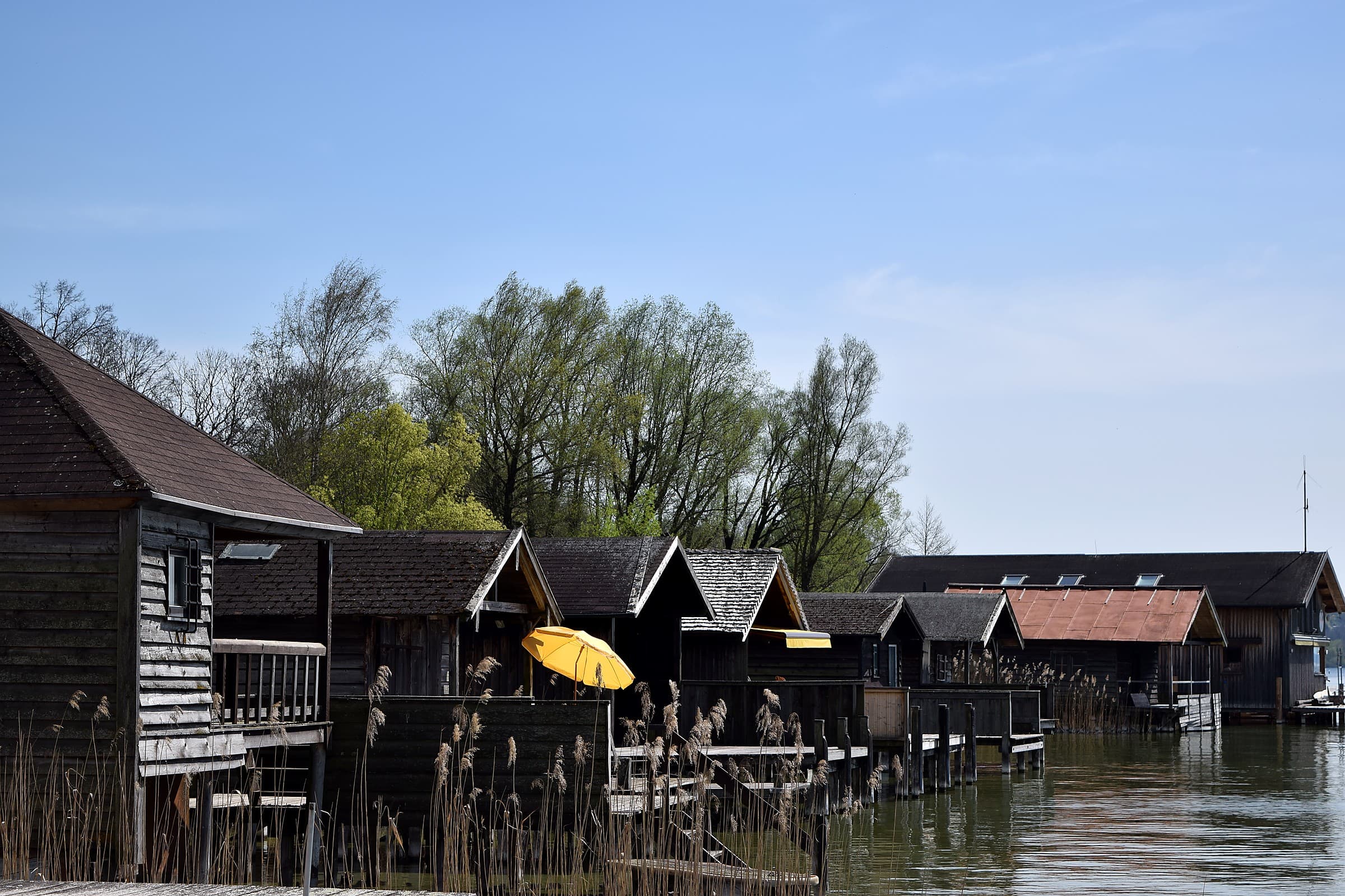 Mahdi Sellami - Photo 18