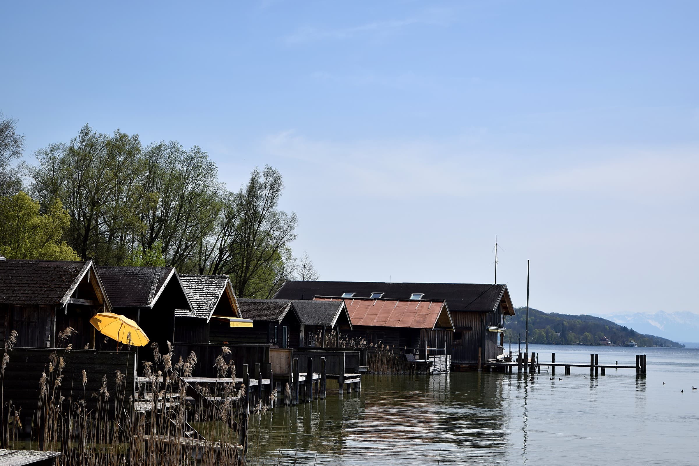 Mahdi Sellami - Photo 19