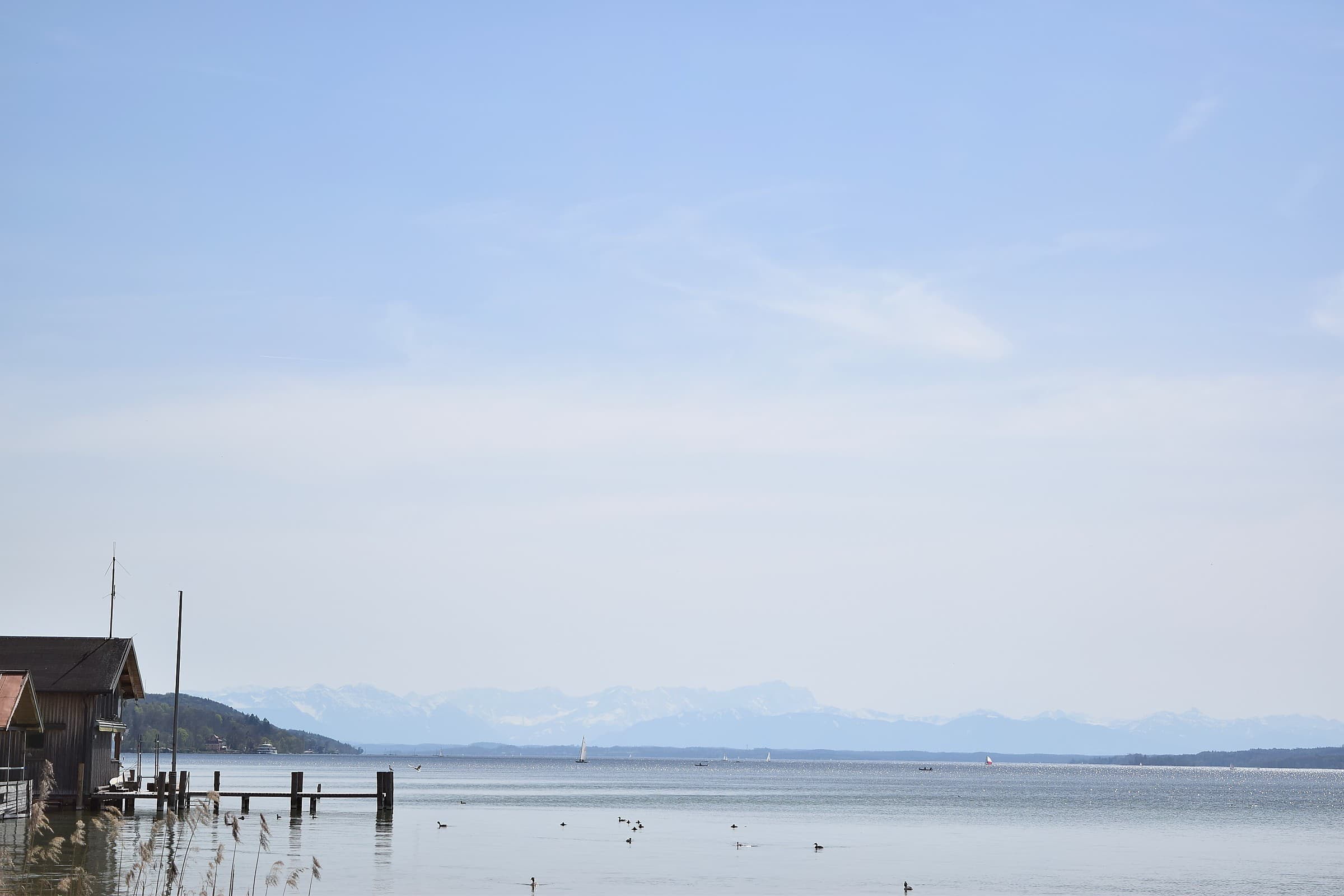 Mahdi Sellami - Photo 20