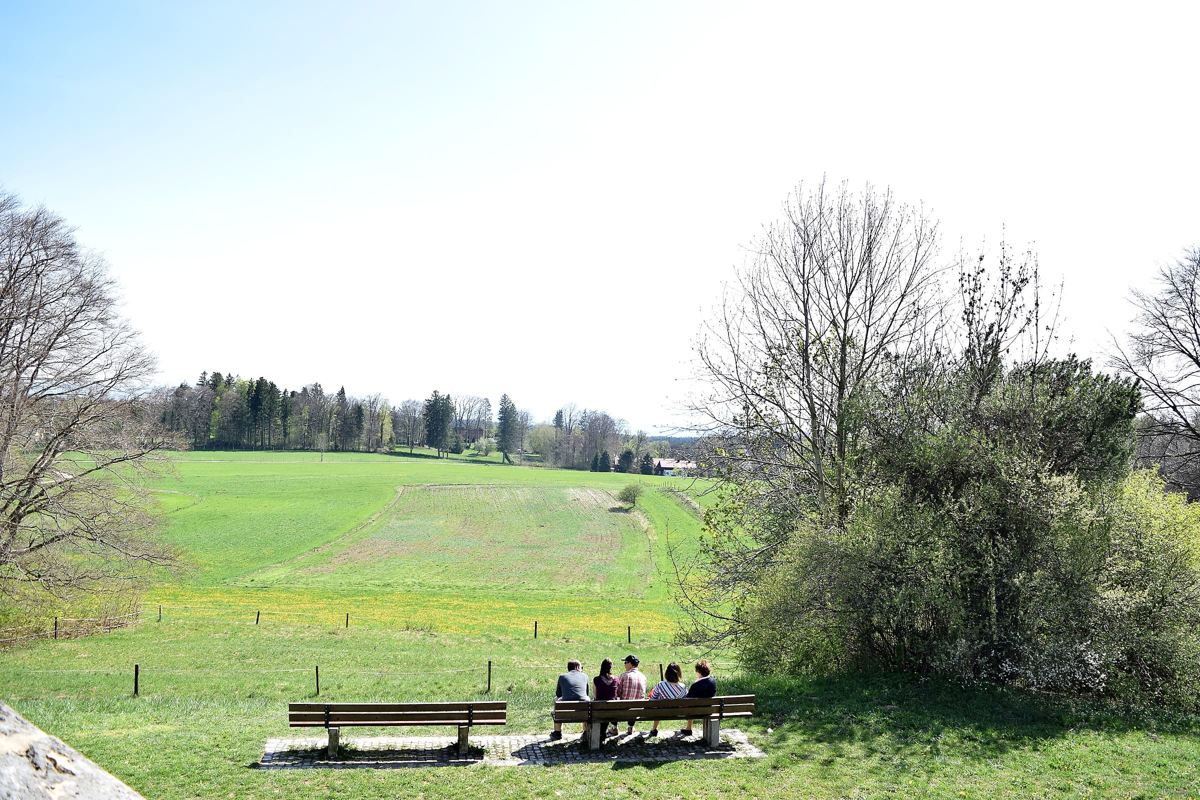 Mahdi Sellami - Photo 32