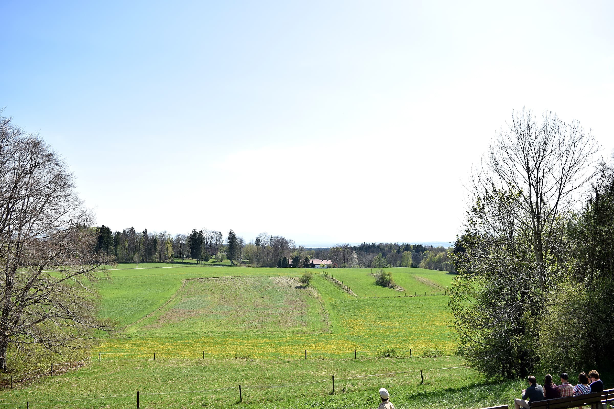 Mahdi Sellami - Photo 34