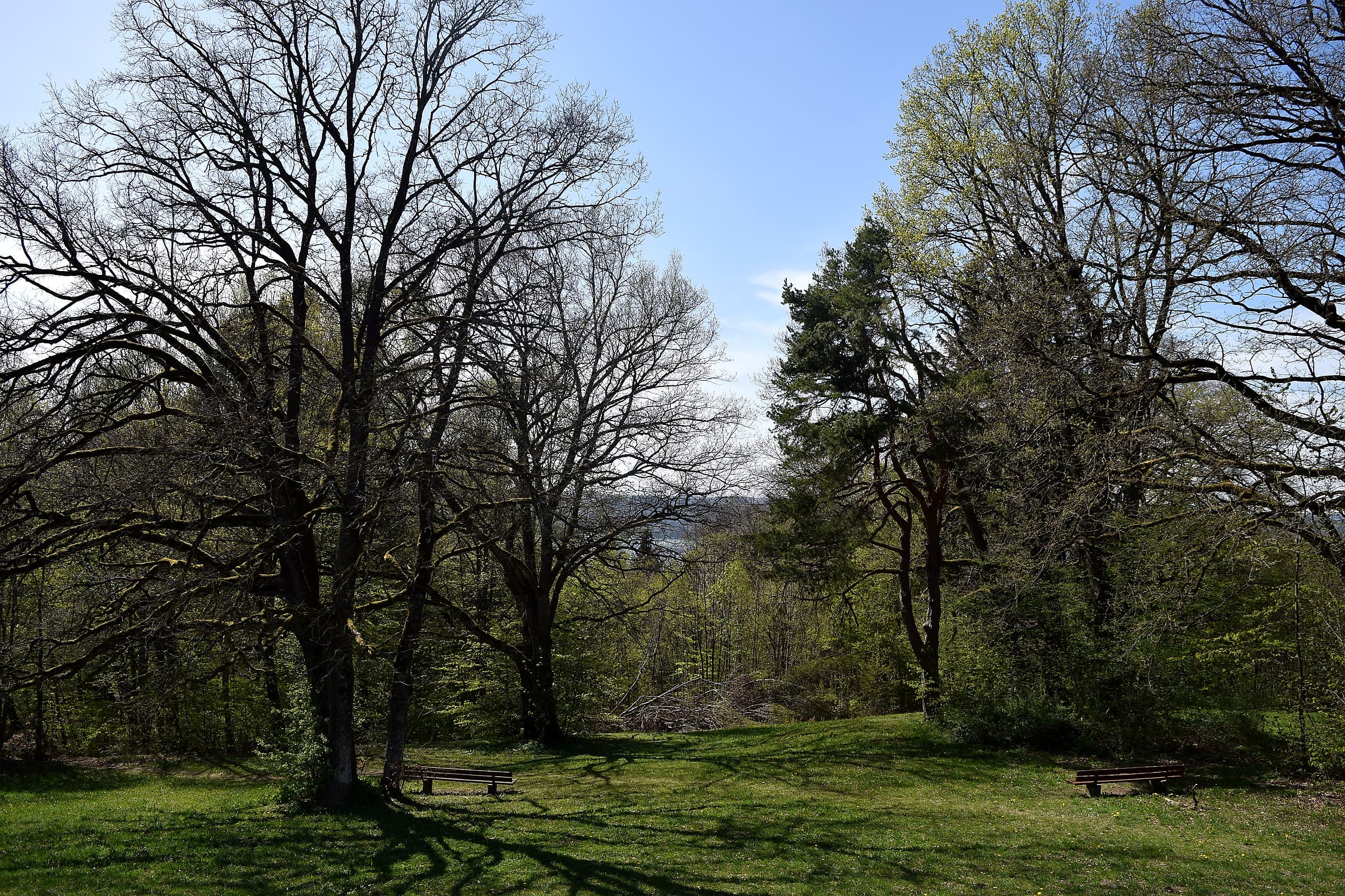 Mahdi Sellami - Photo 39