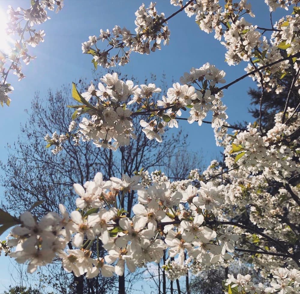 Mahdi Sellami - Photo 69