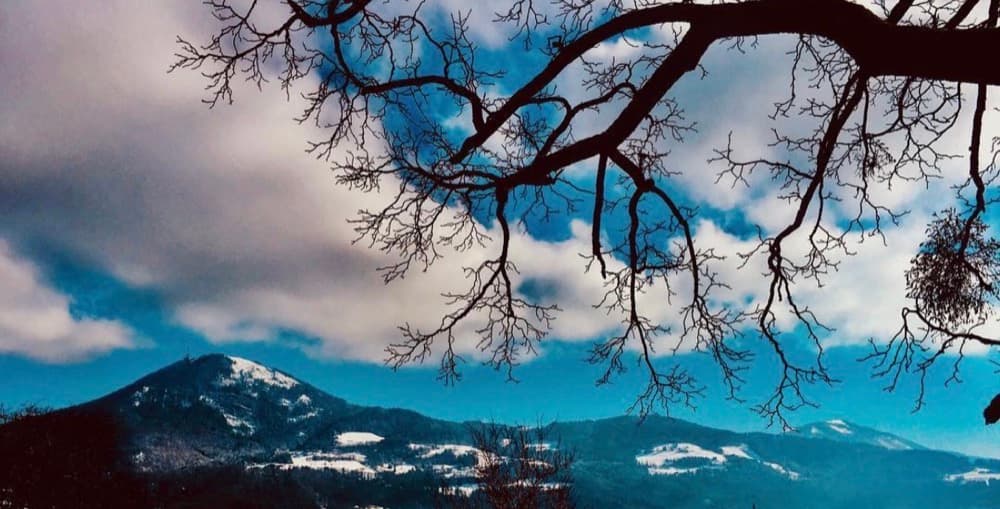 Mahdi Sellami - Photo 71