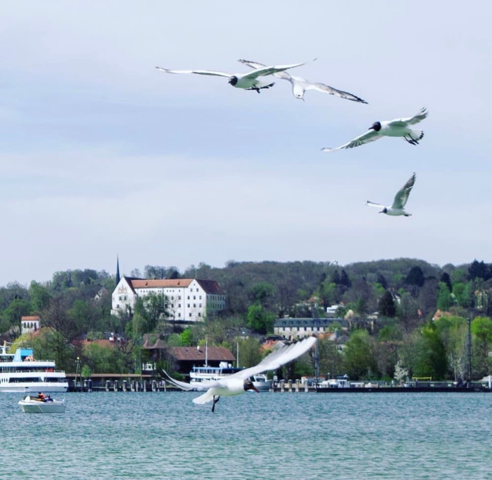 Mahdi Sellami - Photo 72